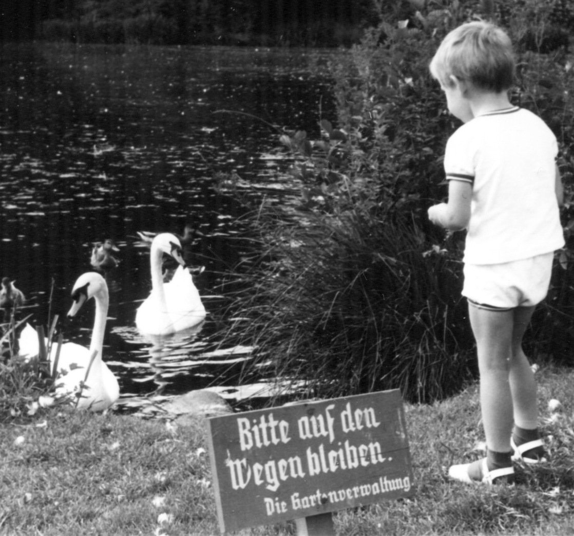 El Lorenzo 12 years old